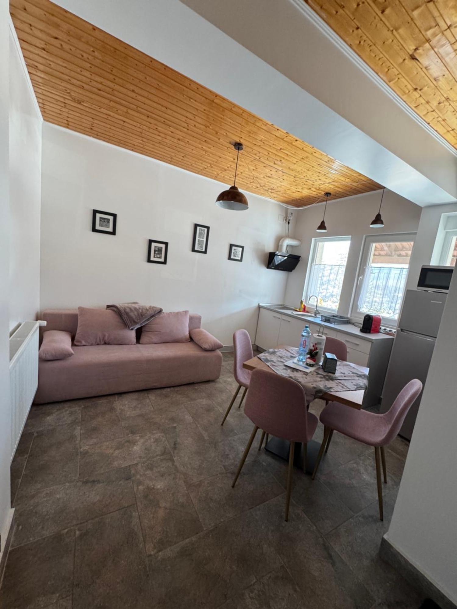 Red Family Apartments Păltiniş Zewnętrze zdjęcie