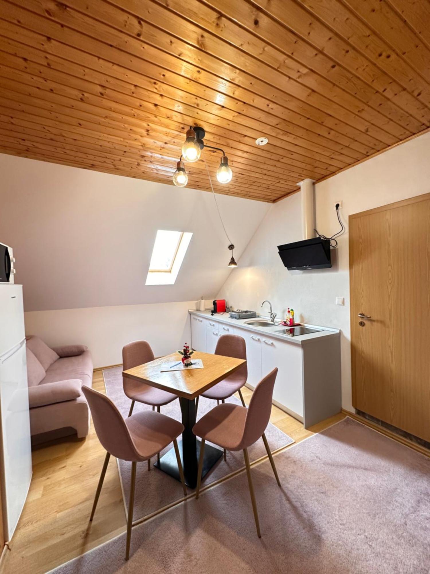 Red Family Apartments Păltiniş Zewnętrze zdjęcie